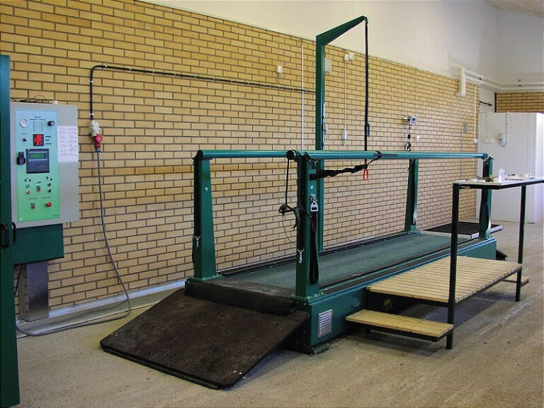 mesa cirurgica equino cavalo